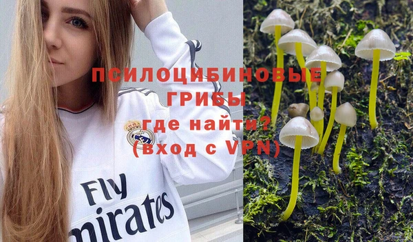 таблы Армянск