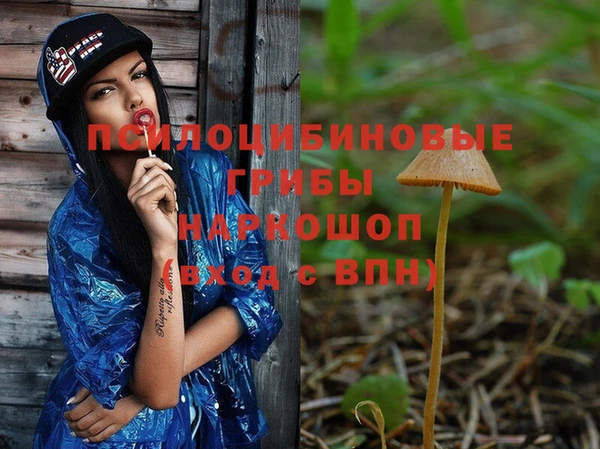 метадон Арсеньев